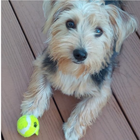 Meet your Posher, Michelle - Picture 9 of 16